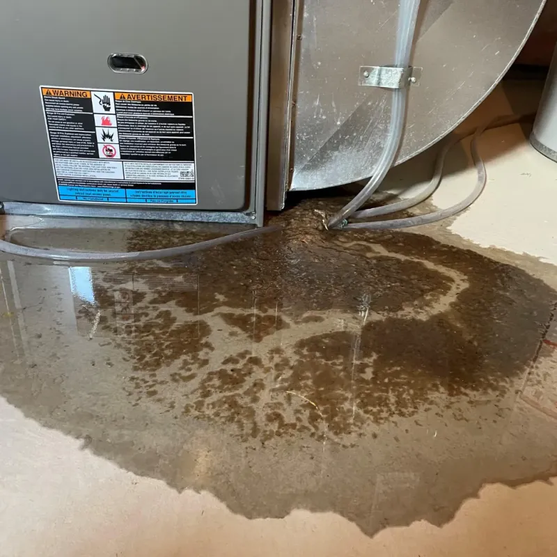 Appliance Leak Cleanup in Cramerton, NC